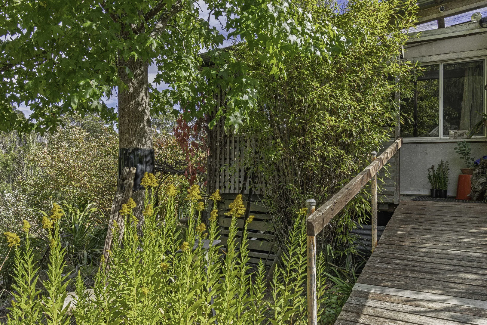 Additional image 21 of 242 Woolleys Road, Lonnavale TAS 7109