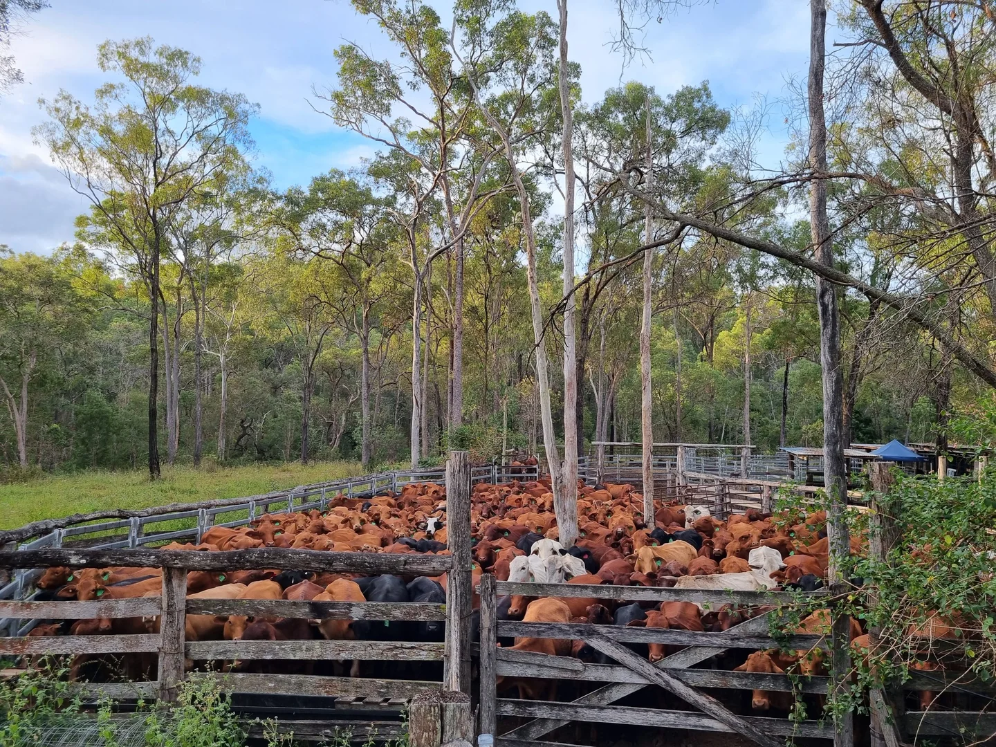 Additional image 12 of 700 John Clifford Way, Lowmead QLD 4676