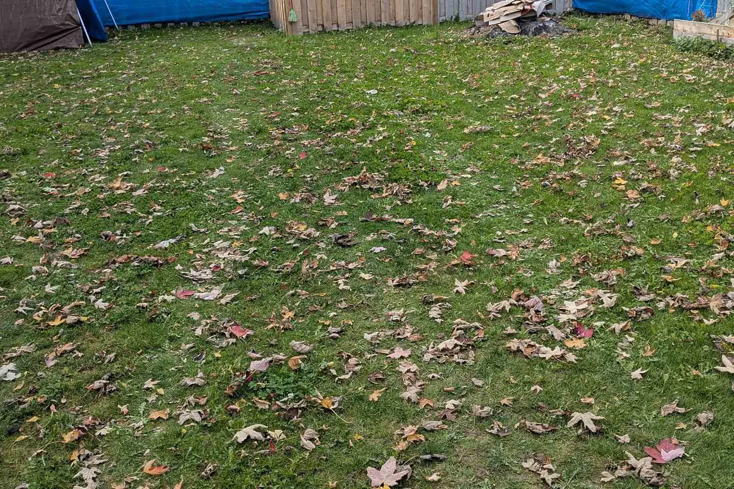 Additional image 3 of 115 Centre Street