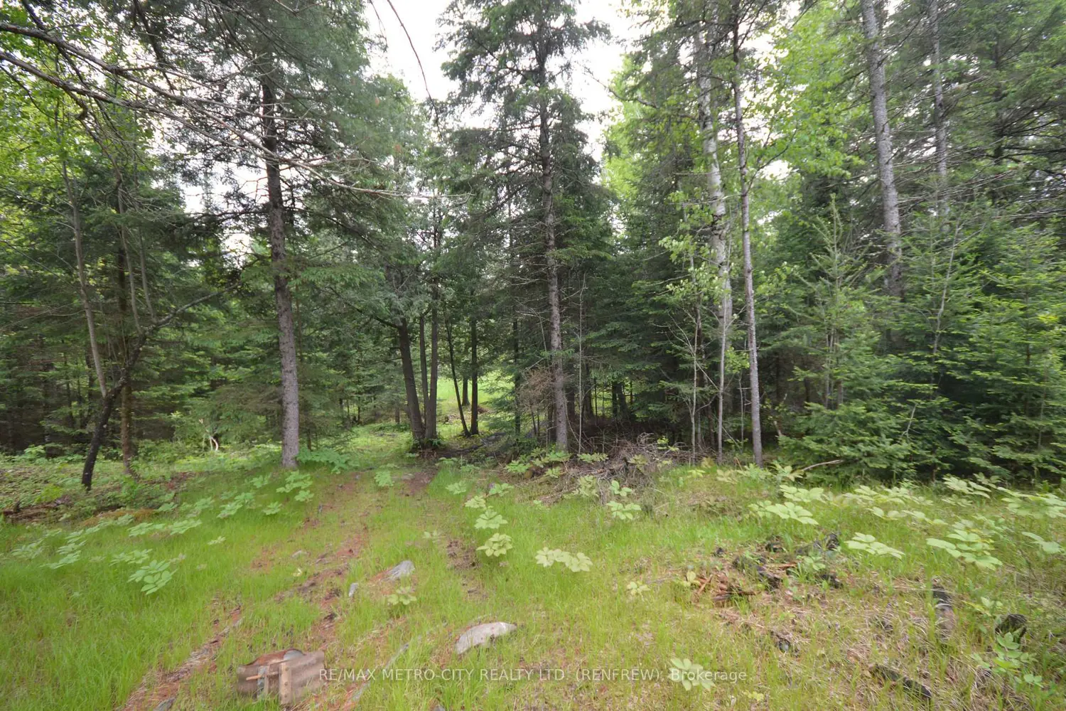 Additional image 11 of 6340 Murphy Road