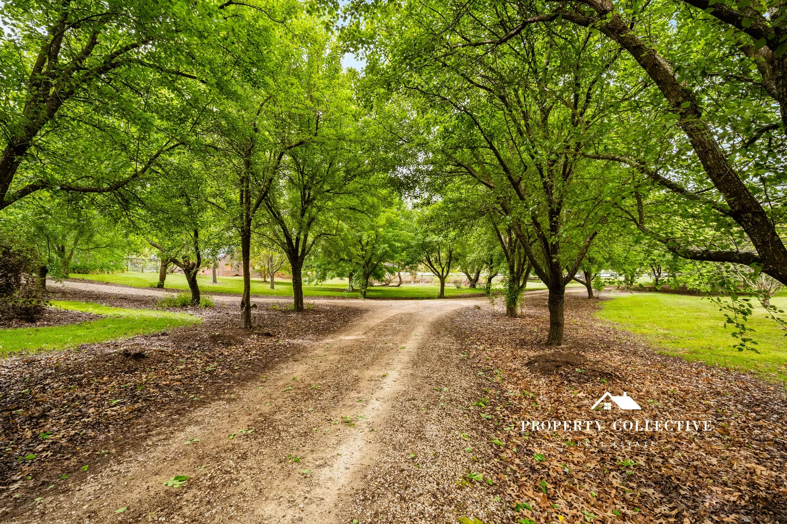 Additional image 43 of 124 Stanley Road, Beechworth VIC 3747