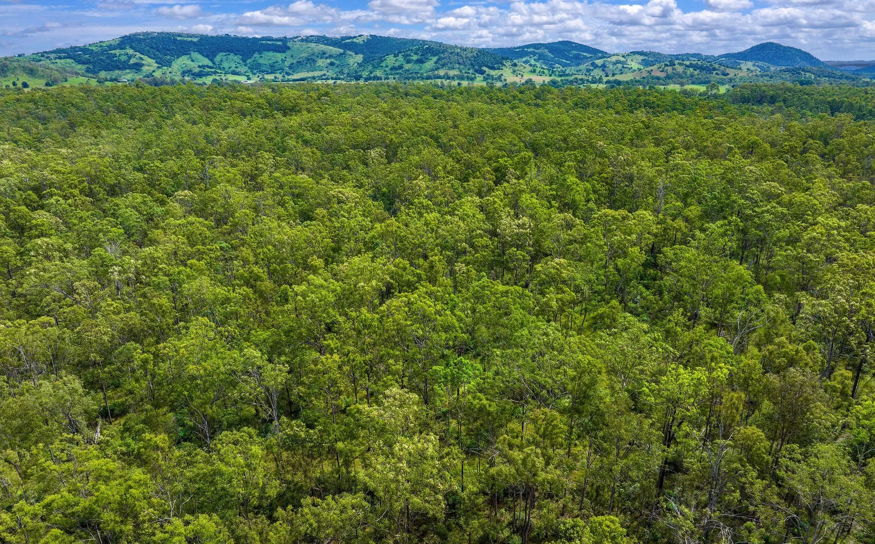 Additional image 7 of Lot L984 Arborfourteen Road, Glenwood QLD 4570