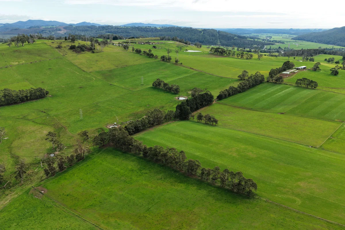 Additional image 6 of 261 Weegena Road, Kimberley TAS 7304