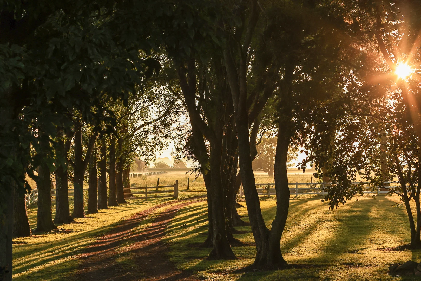 Additional image 9 of 229 Glenarvon Road, Lorn NSW 2320