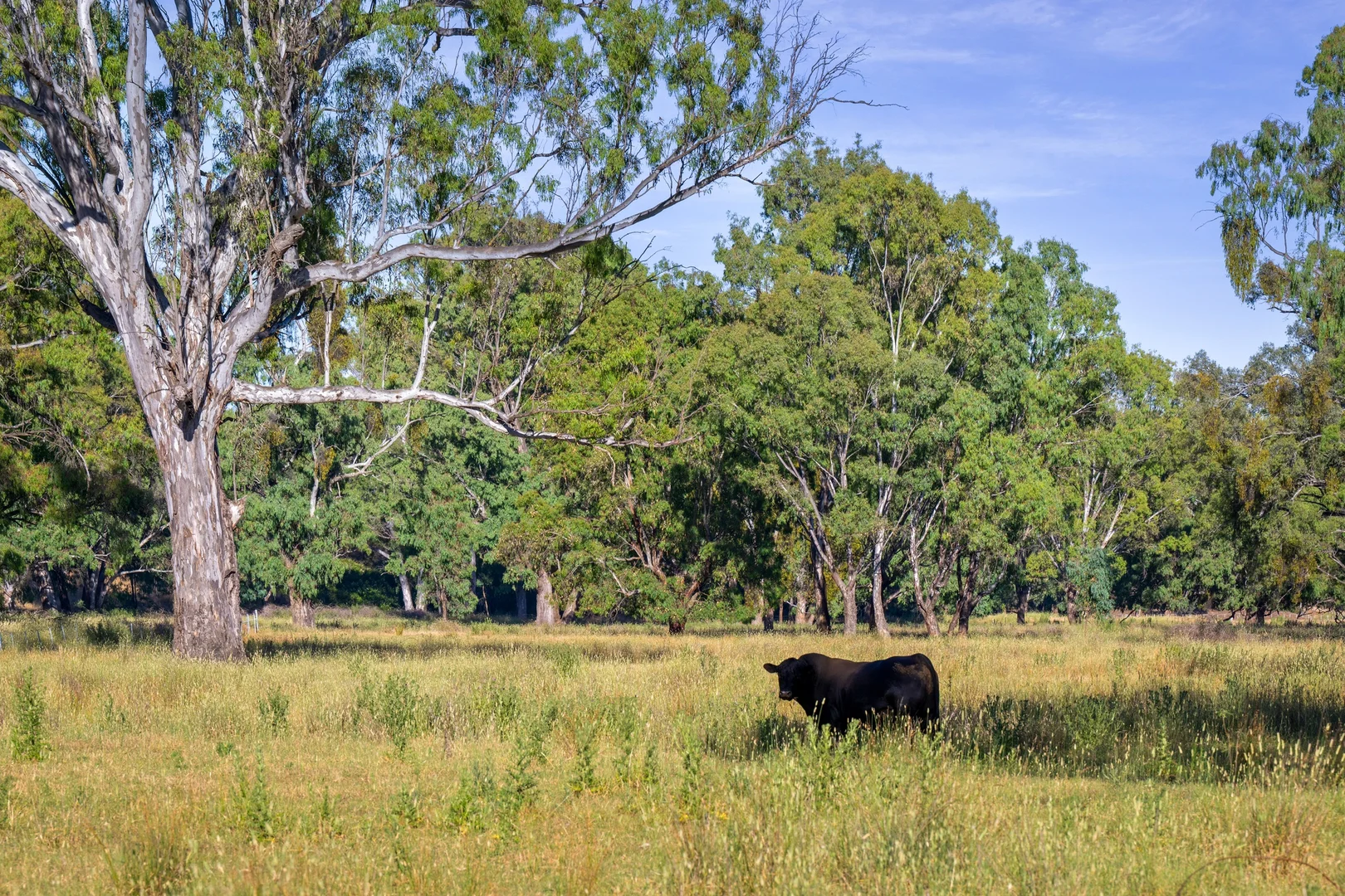 Additional image 11 of 9 Apple Box Court, Baranduda VIC 3691