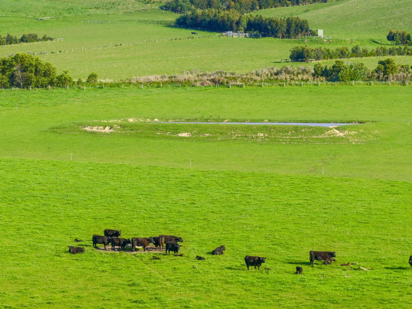 Additional image 4 of 280 Woolamai Road, Bass VIC 3991