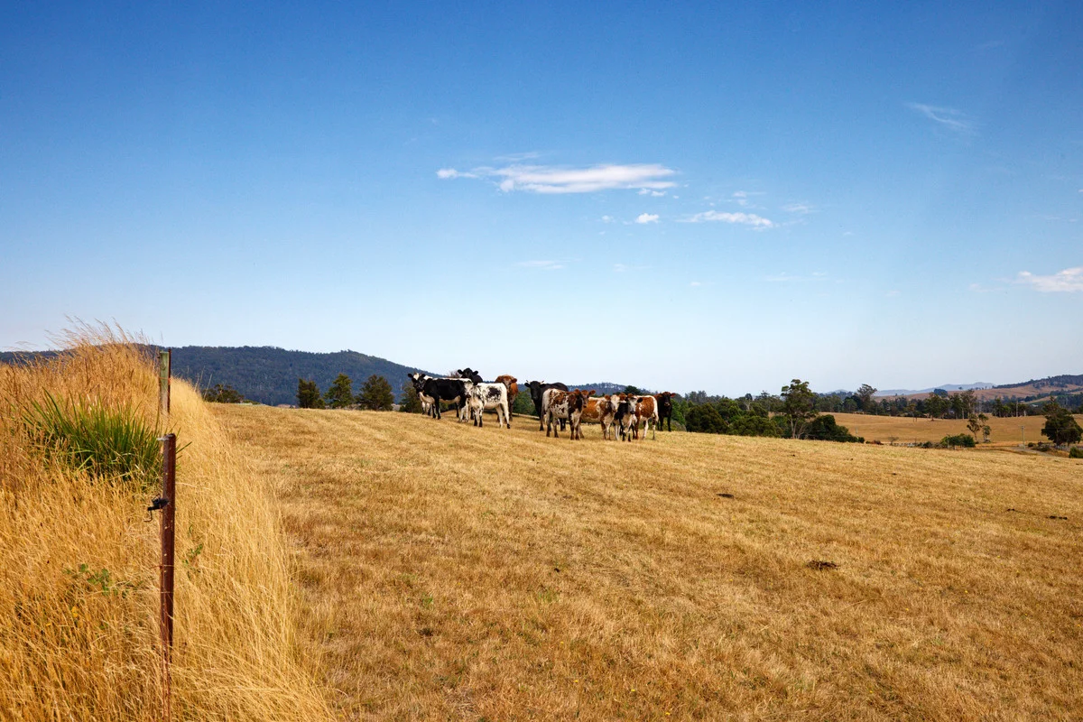 Additional image 5 of 110a Paling Track, Bangor TAS 7267