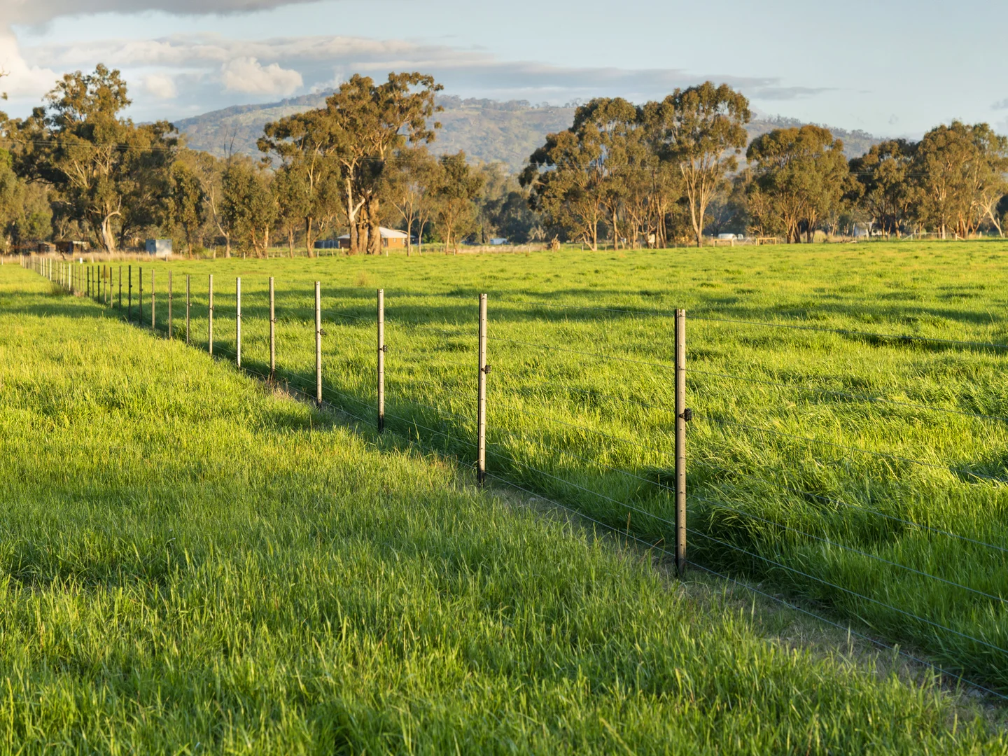 Additional image 5 of 111 Moglonemby Road, Euroa VIC 3666