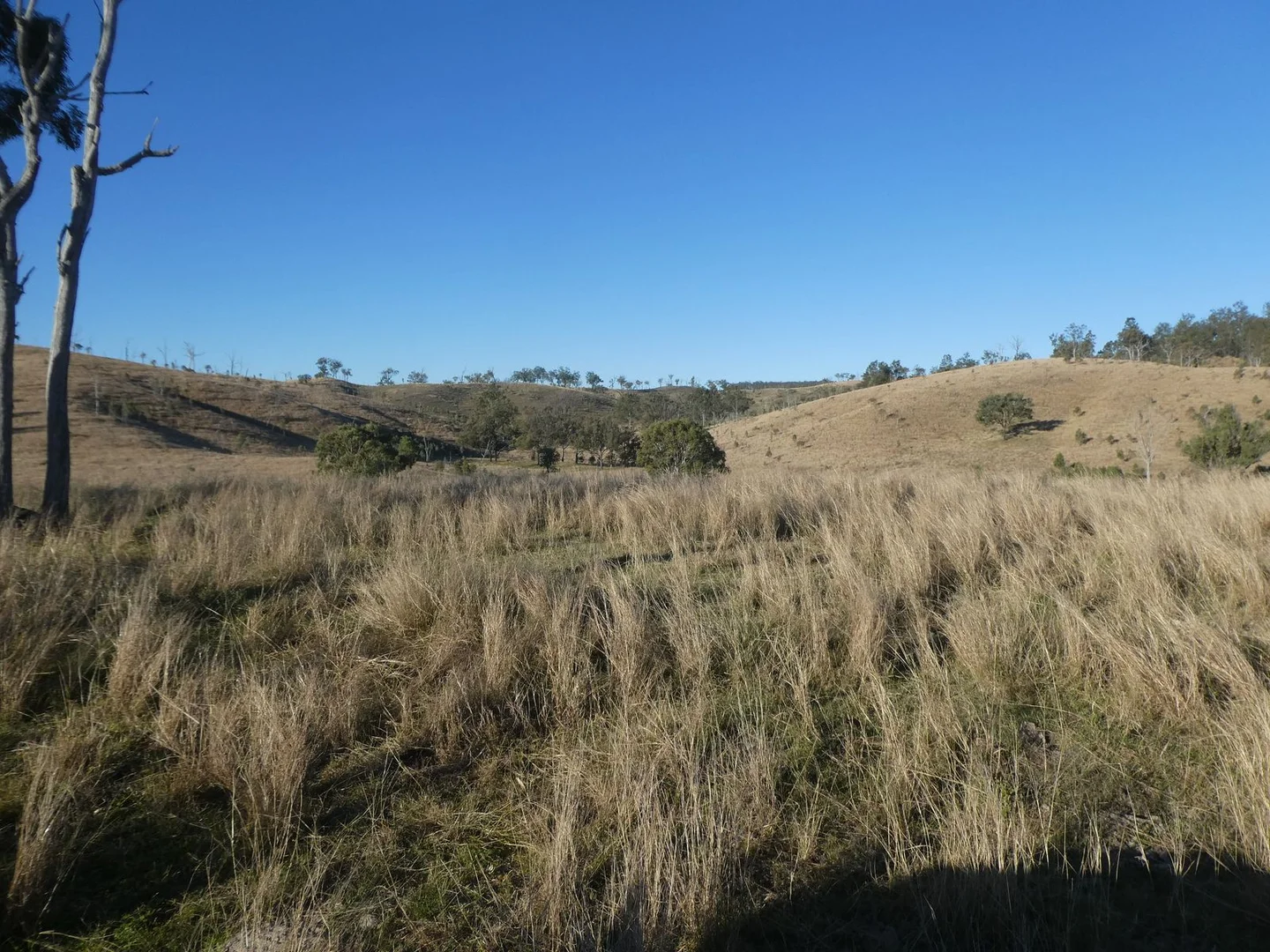 Additional image 34 of 4 Lots/NRN Monto Mount Perry Road, Mungy QLD 4671