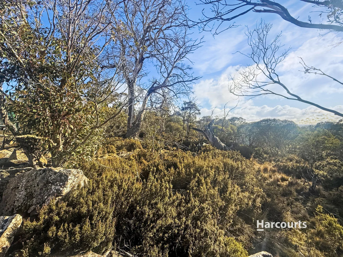 Additional image 7 of 20 Lochiel Drive, Miena TAS 7030