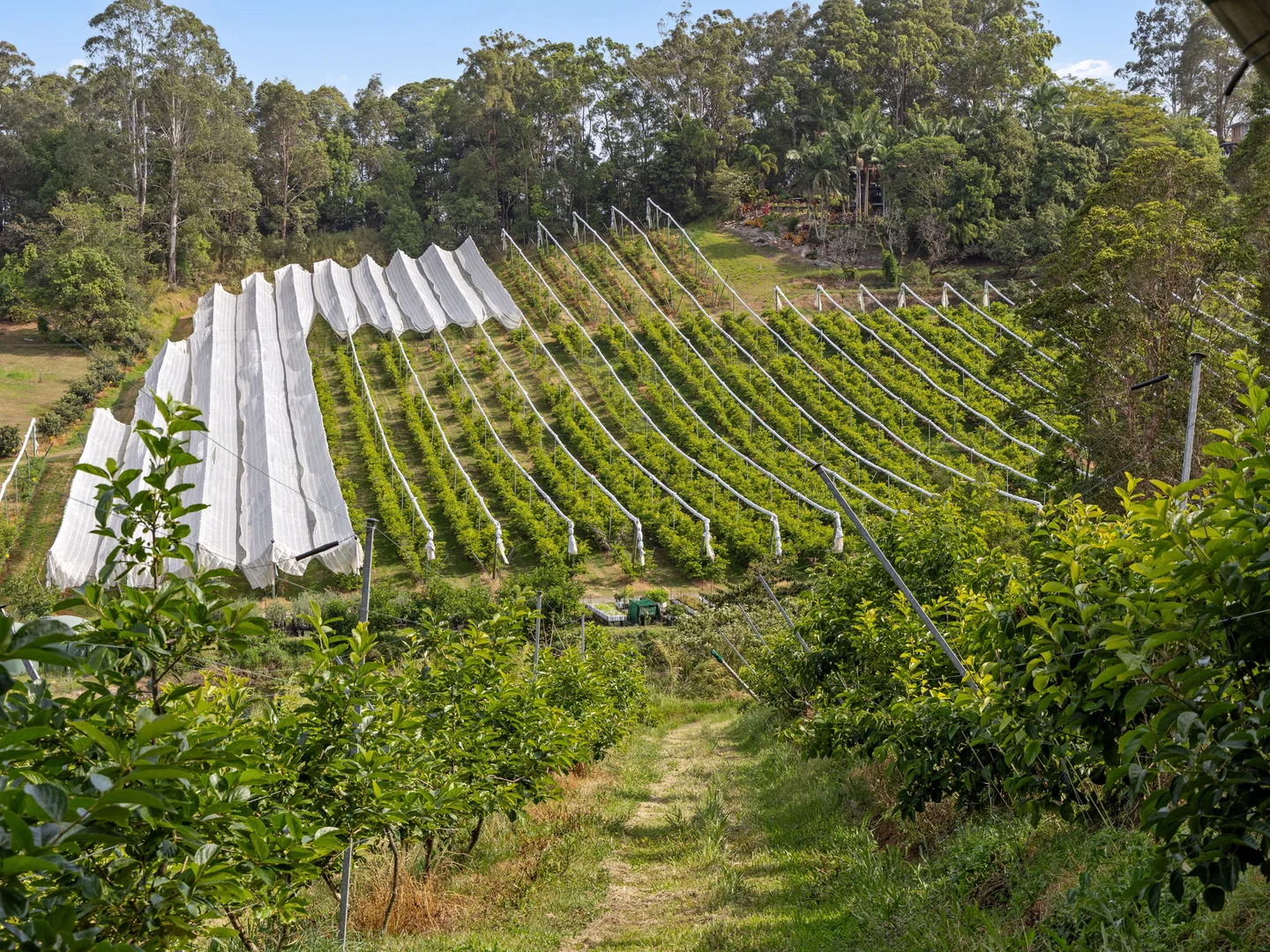 Additional image 14 of 43 Pringle Road, Rosemount QLD 4560