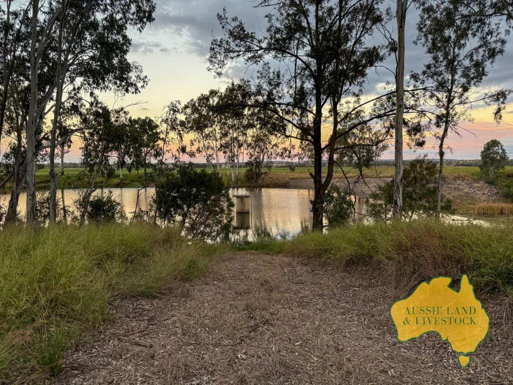 Additional image 69 of 8 SCREENING PLANT ROAD, Cynthia QLD 4627