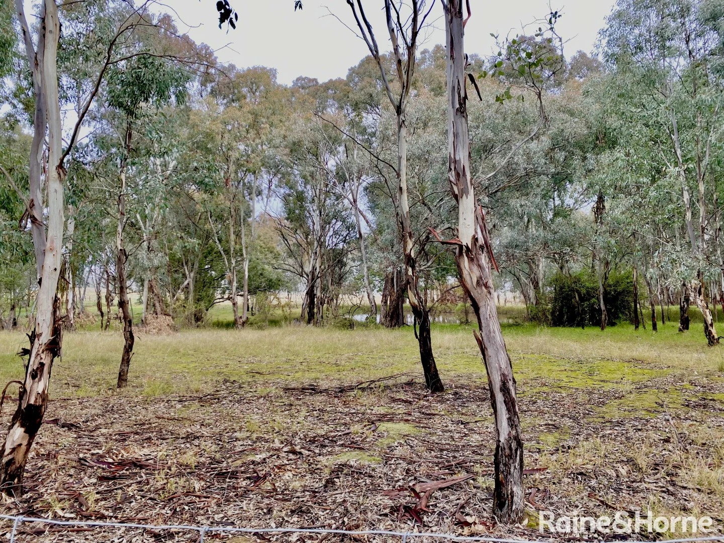 Additional image 2 of Part 4735 Olympic Highway, Young NSW 2594