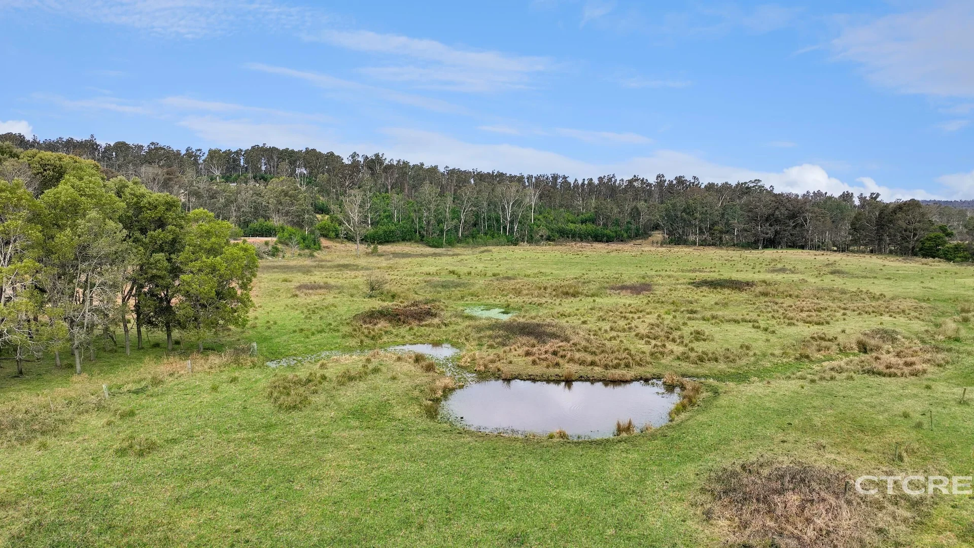 Additional image 8 of 1664 Wangarabell Road, Wangarabell VIC 3891