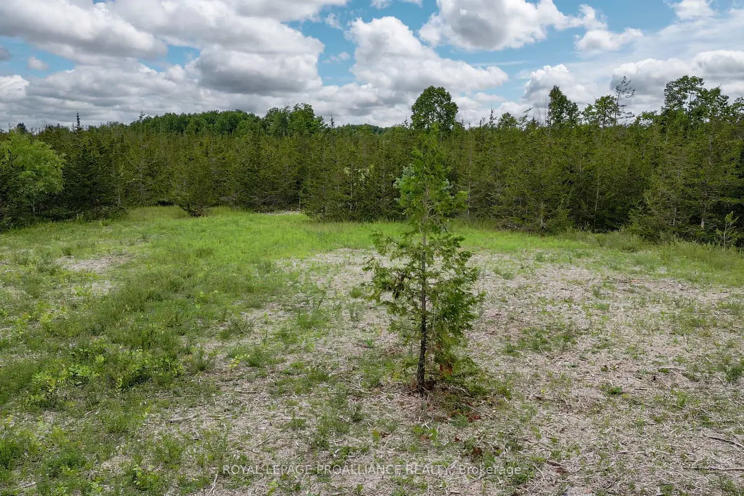 Additional image 6 of 89 Power Road