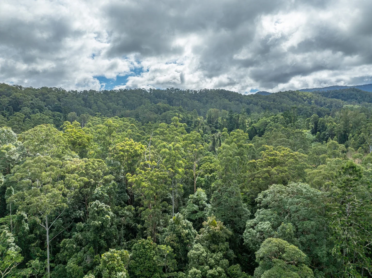 Additional image 31 of 69 Hidden Valley Road, Barkers Vale NSW 2474