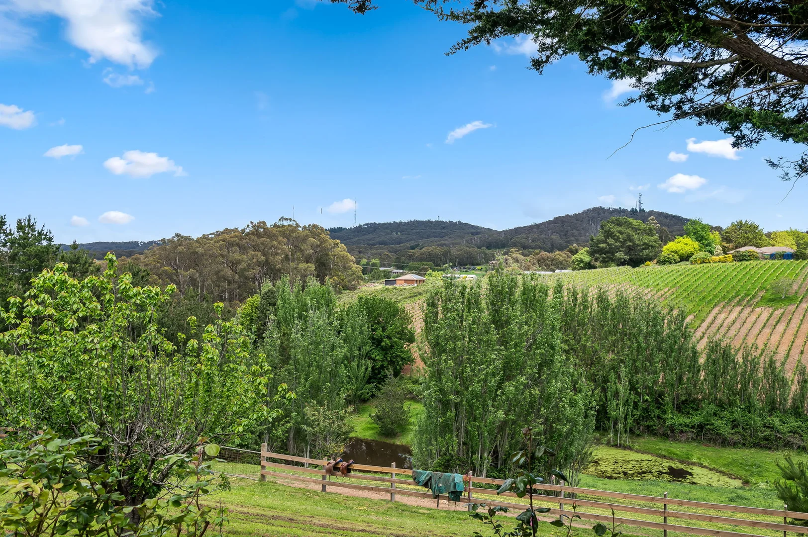 Additional image 42 of 32 Drivers Road, Summertown SA 5141