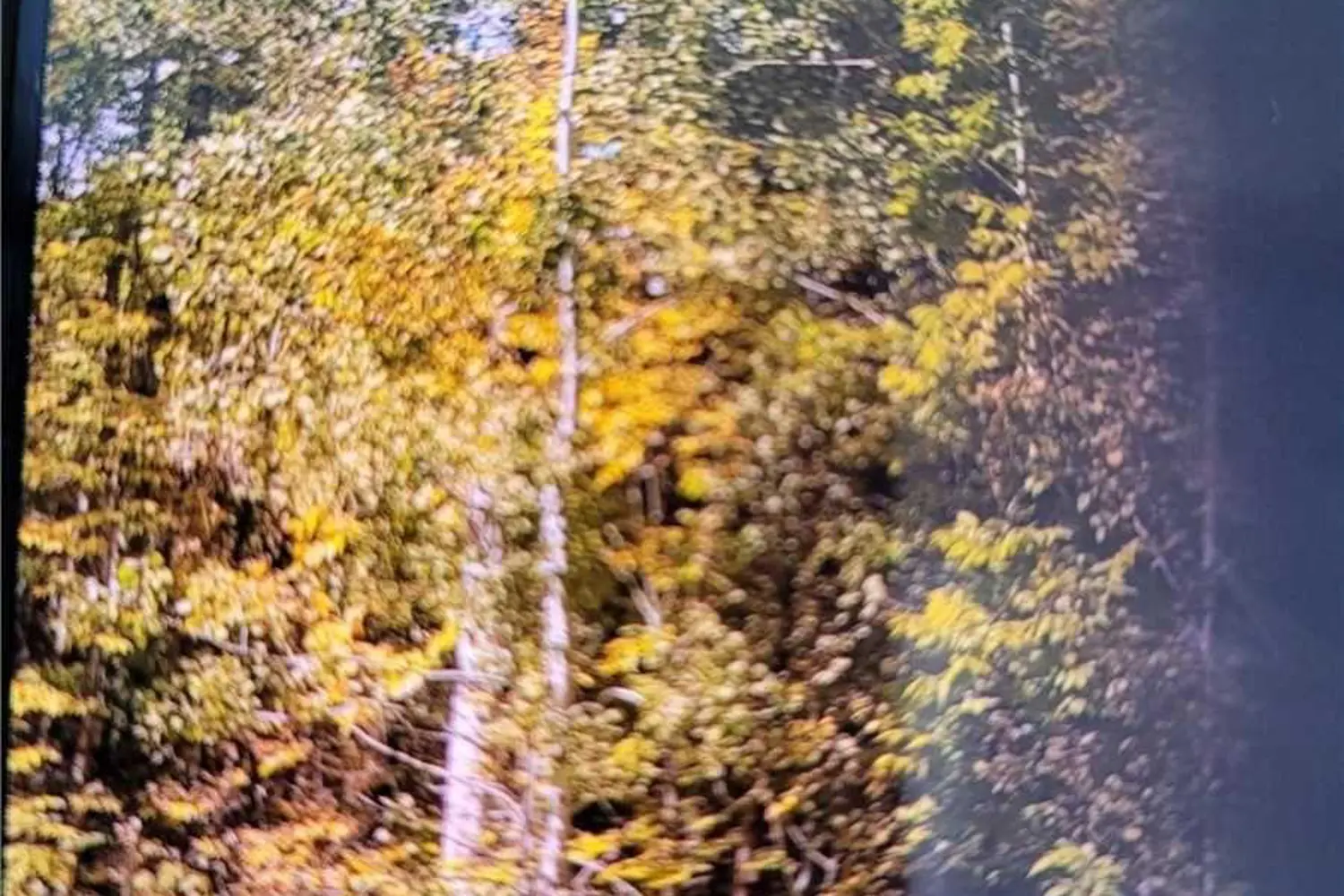 Additional image 3 of 250-400 Lake Road