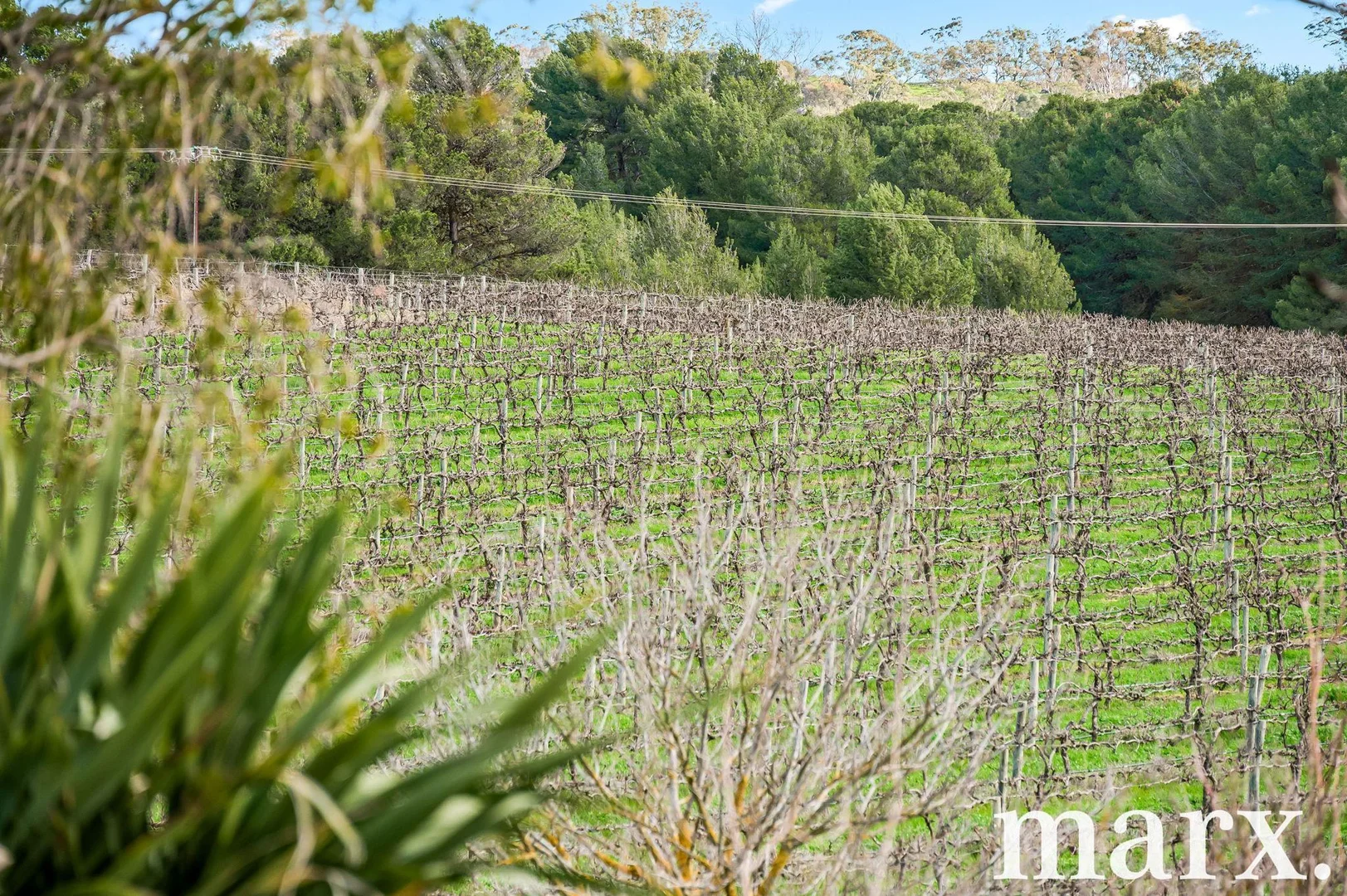 Additional image 21 of 137 Radford Road, Angaston SA 5353