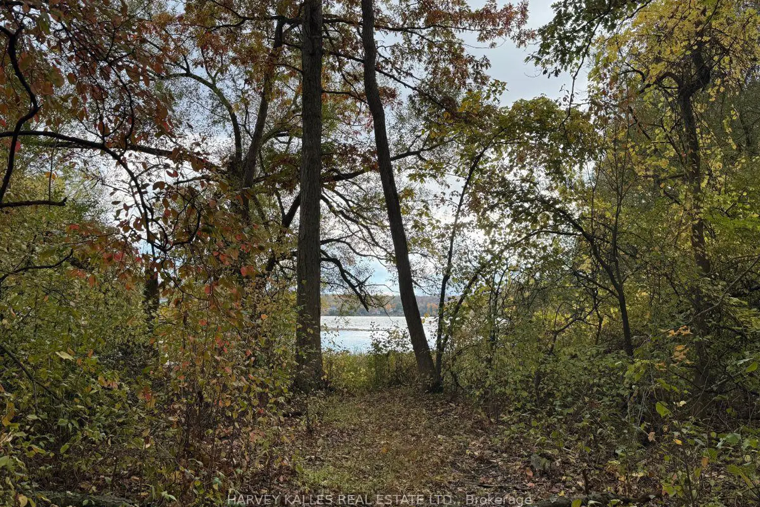 Additional image 9 of 0 Oakwood Lane