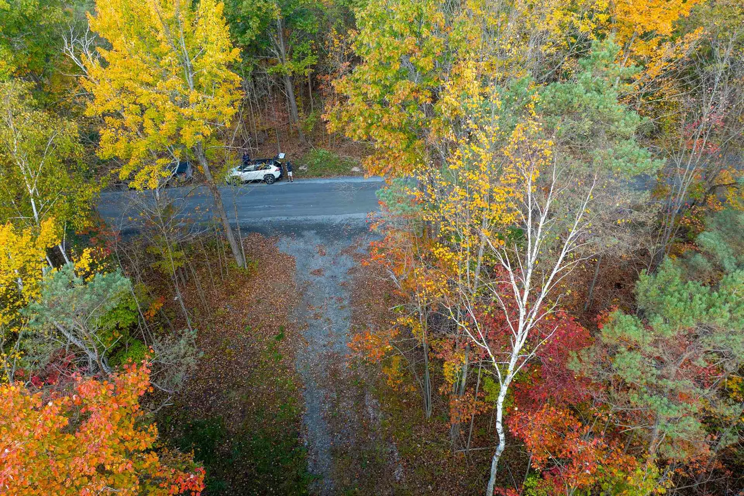 Additional image 18 of Pt Lts 12 & 13 Devil Lake Road