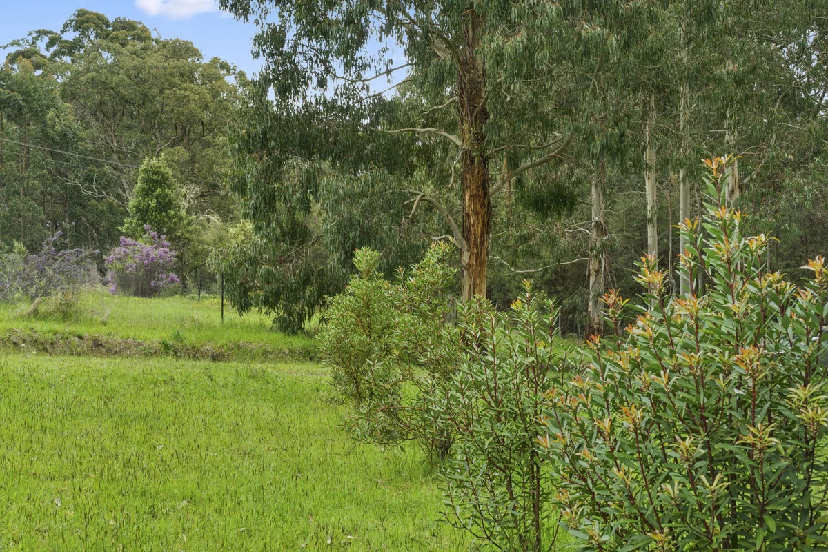 Additional image 14 of 640 Forrest-Apollo Bay Road, Barramunga VIC 3249