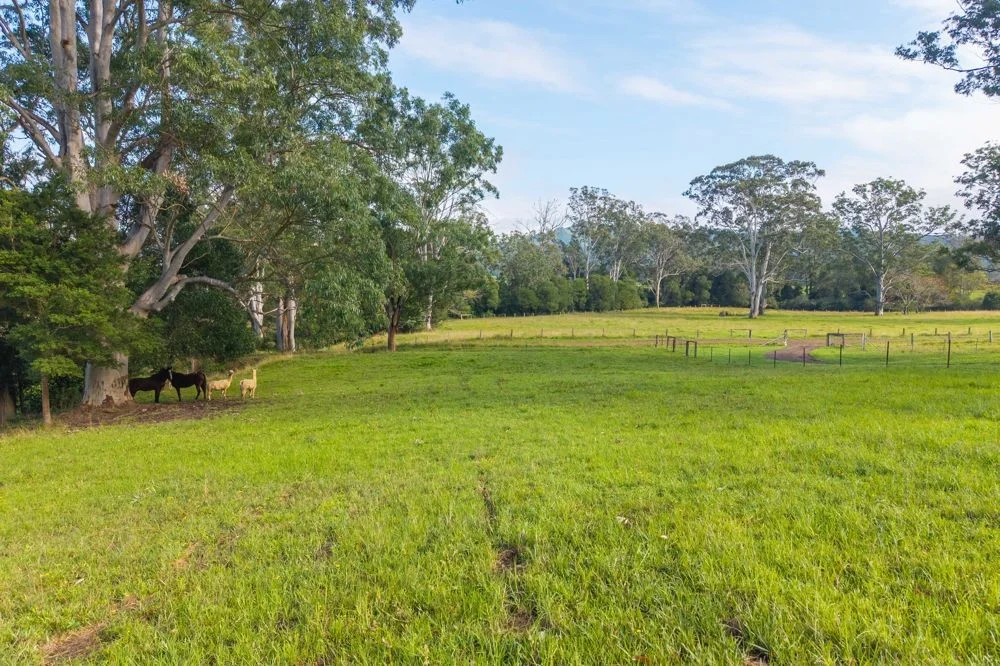 Additional image 3 of 89 Mcmillans Road, Ellenborough NSW 2446