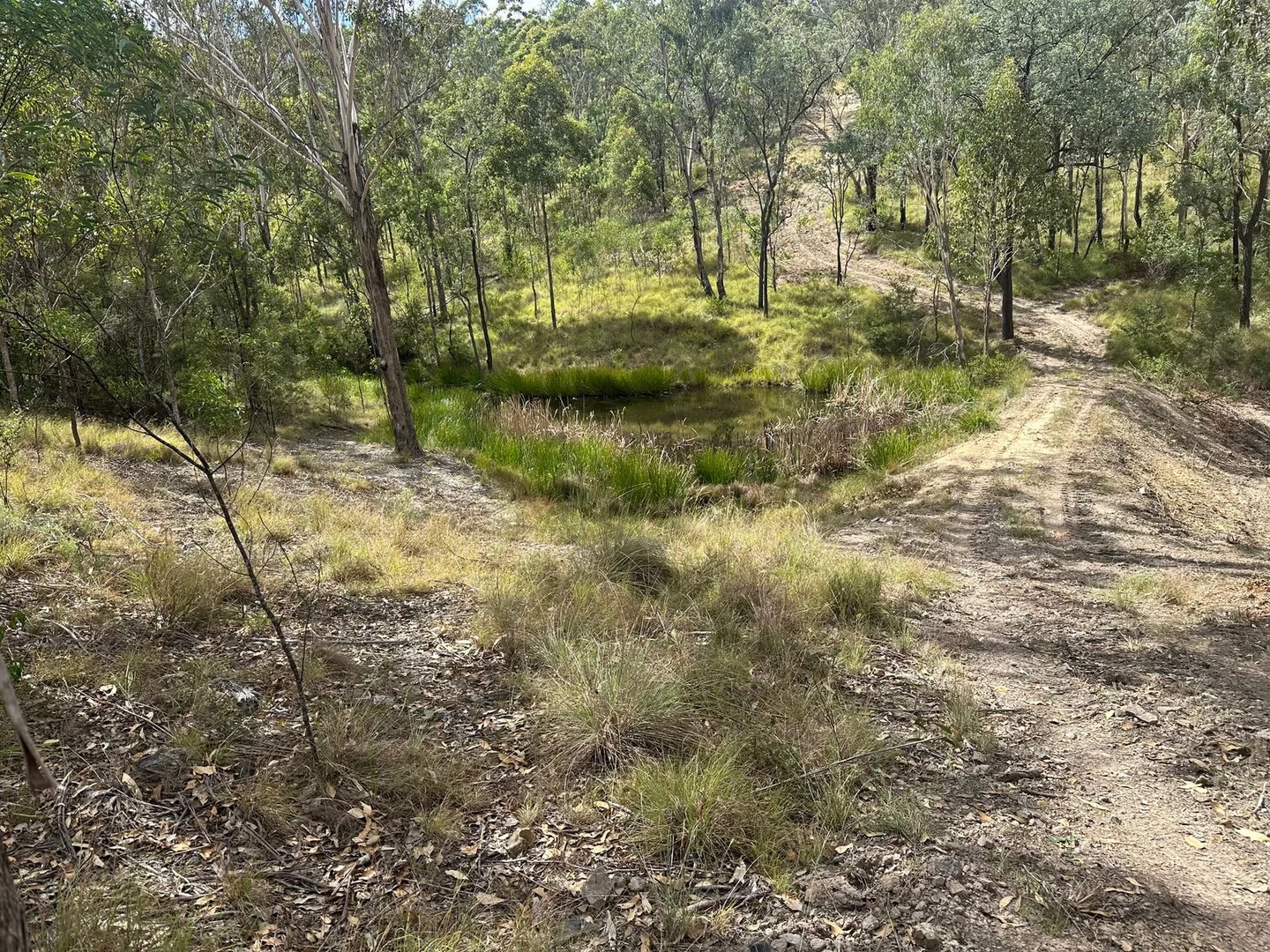 Additional image 11 of Lot 16 Bonner Road, Rivertree NSW 2372