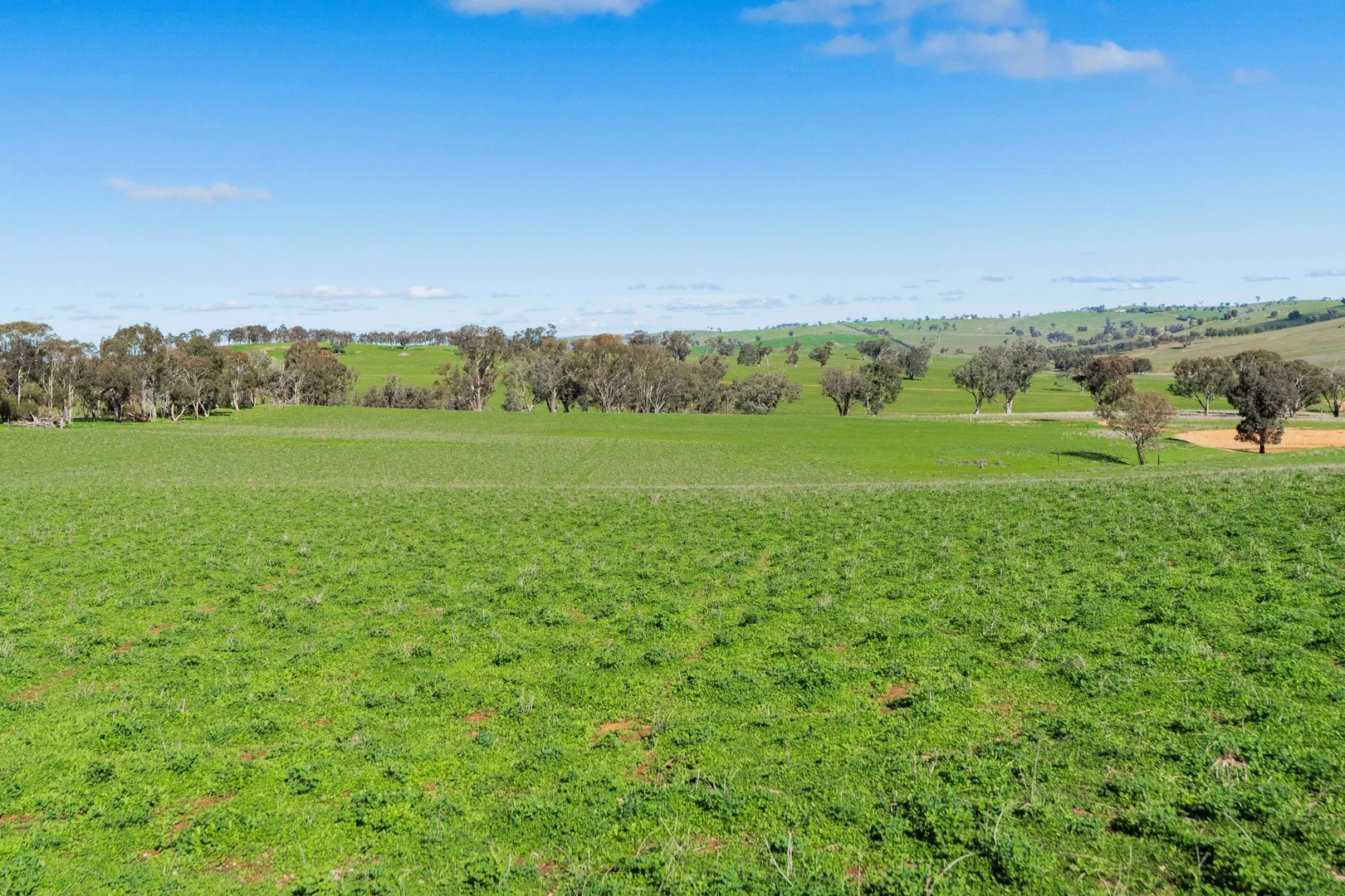 Additional image 36 of 670 Leahy Road, Wagga Wagga NSW 2650