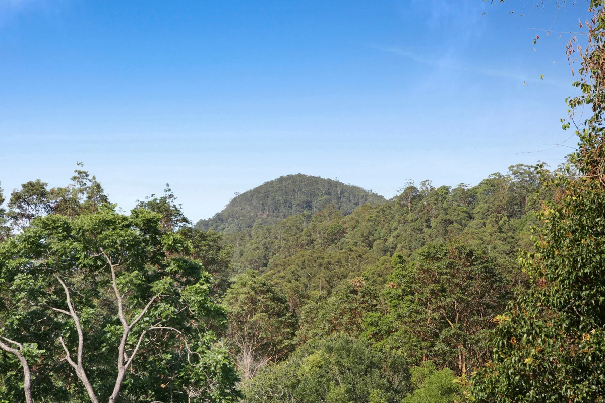 Additional image 16 of 22 Petsch Creek Road, Tallebudgera Valley QLD 4228