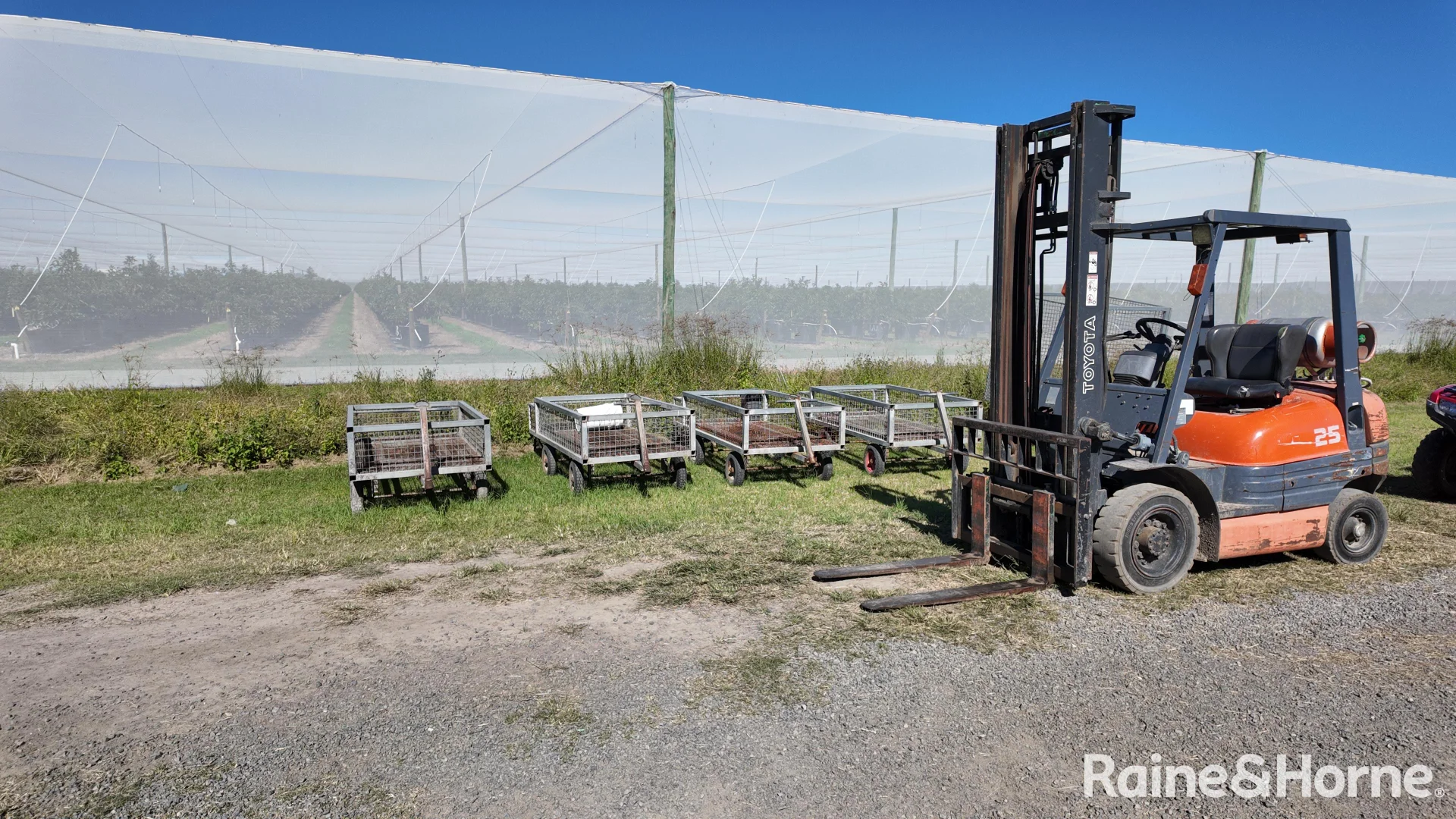 Additional image 25 of 135 Newlands Road, North Gregory QLD 4660