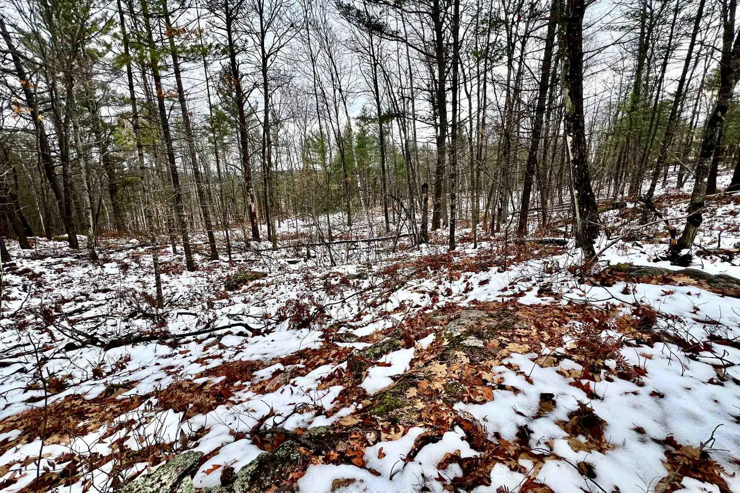 Additional image 19 of 744 Black Creek Road