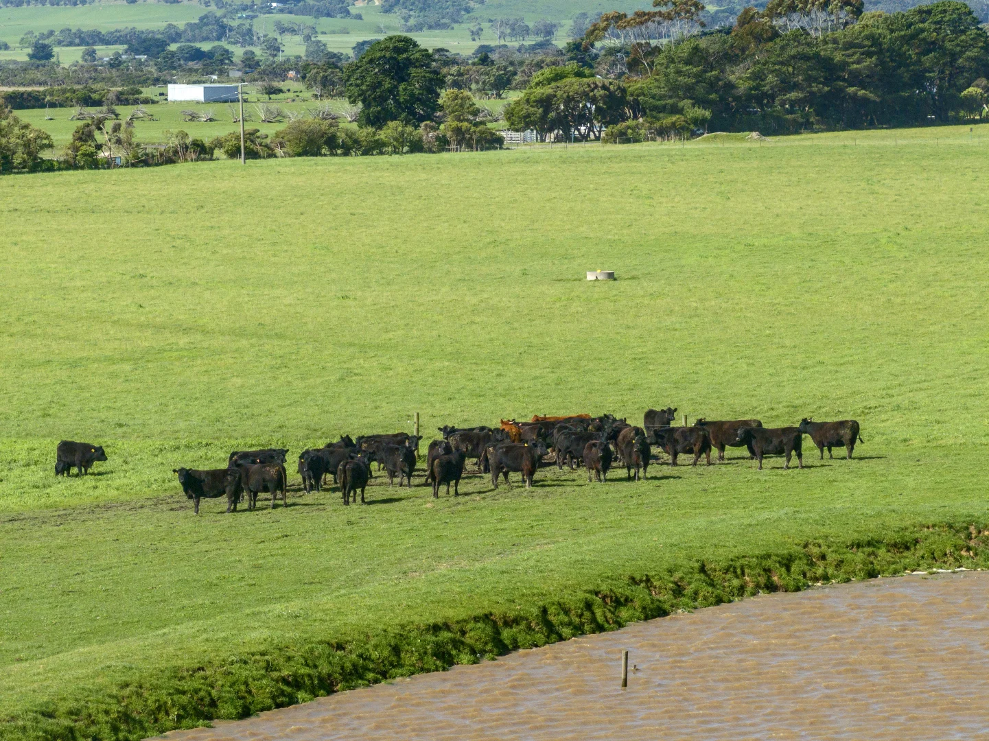 Additional image 7 of 280 Woolamai Road, Bass VIC 3991