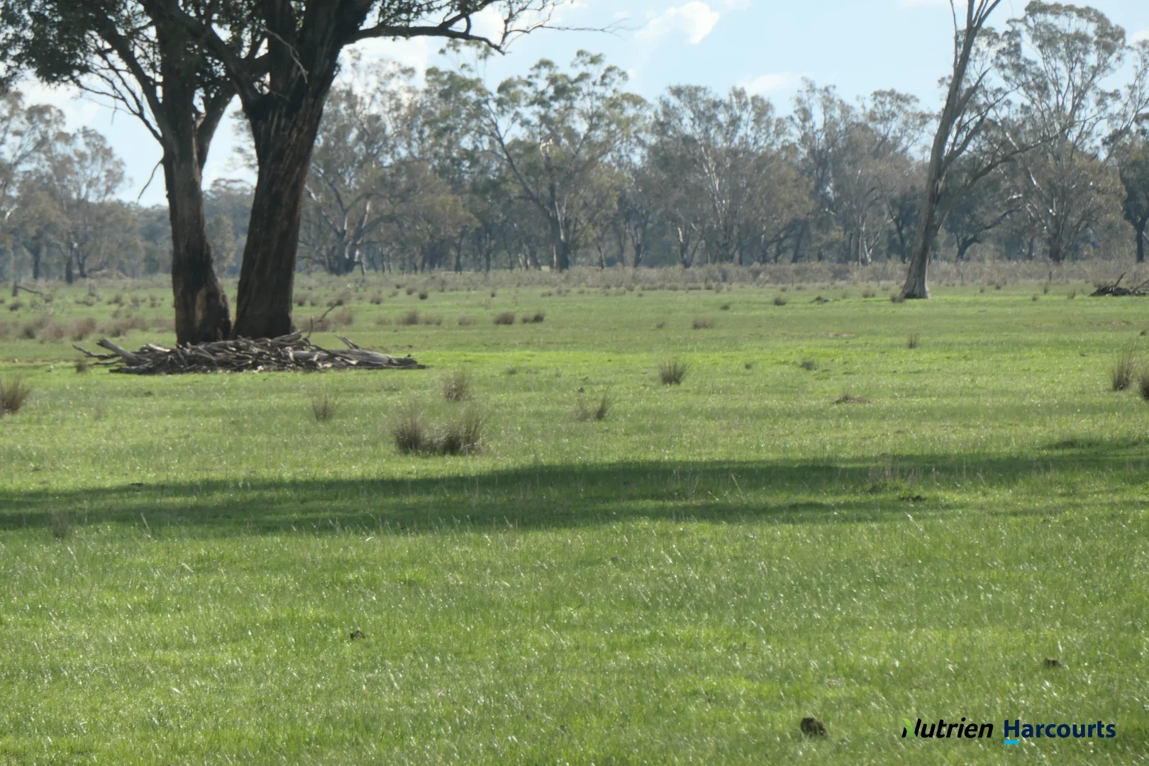 Additional image 8 of 43 Robinson Road, Violet Town VIC 3669