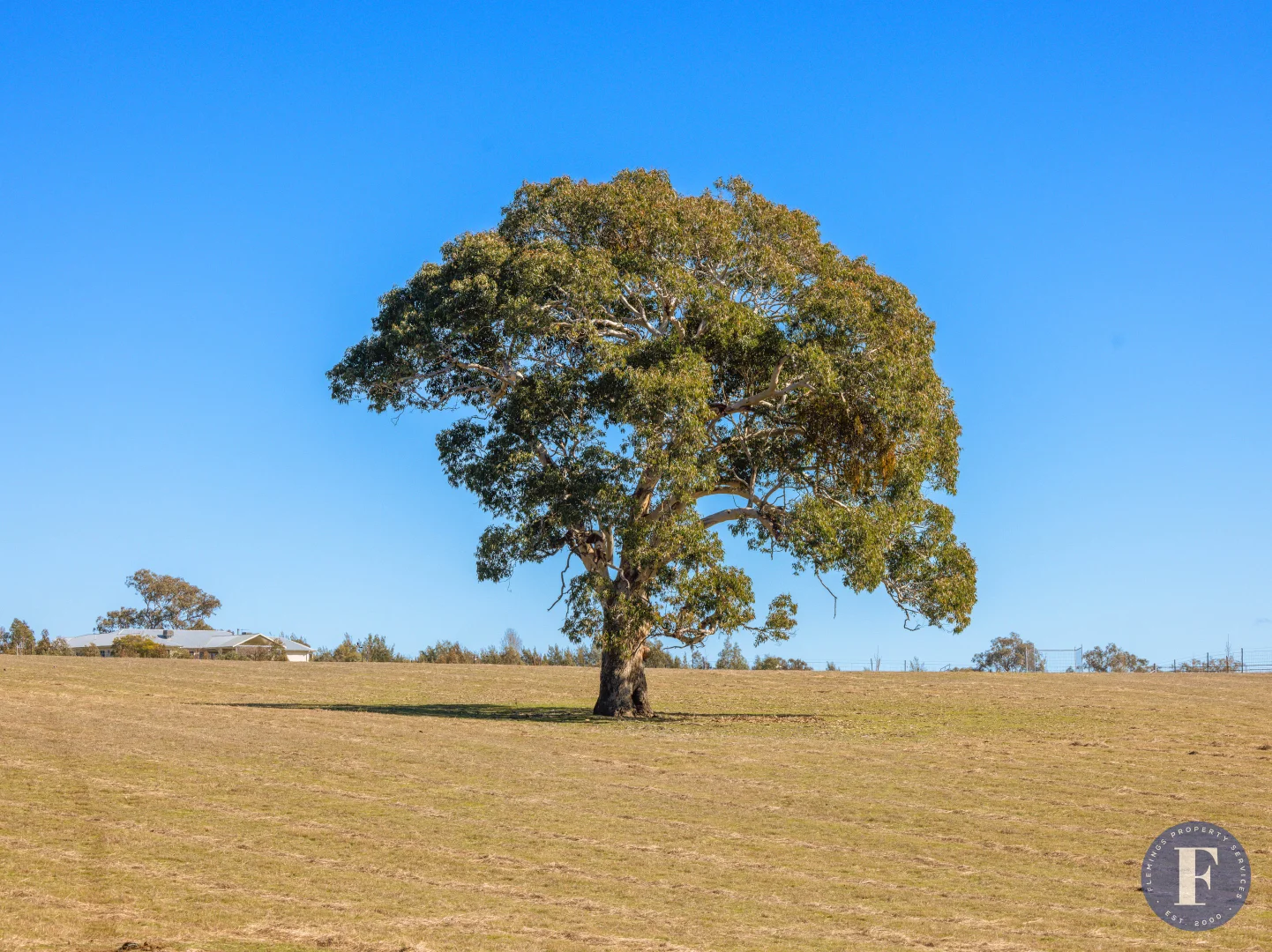 Additional image 8 of 100C Boundary Road, Young NSW 2594
