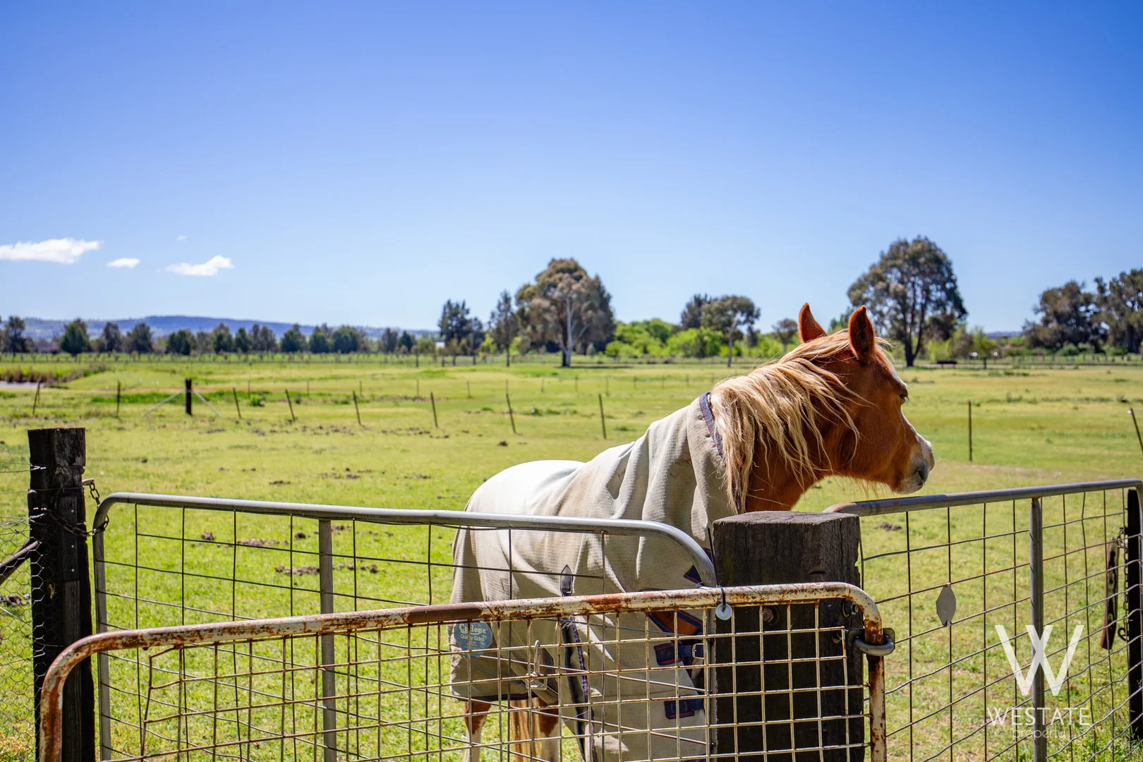 Additional image 13 of 13a Macquarie Street, West Bathurst NSW 2795
