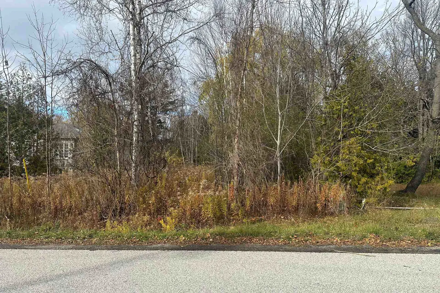 Additional image 6 of Lot 168 Dorothy Avenue