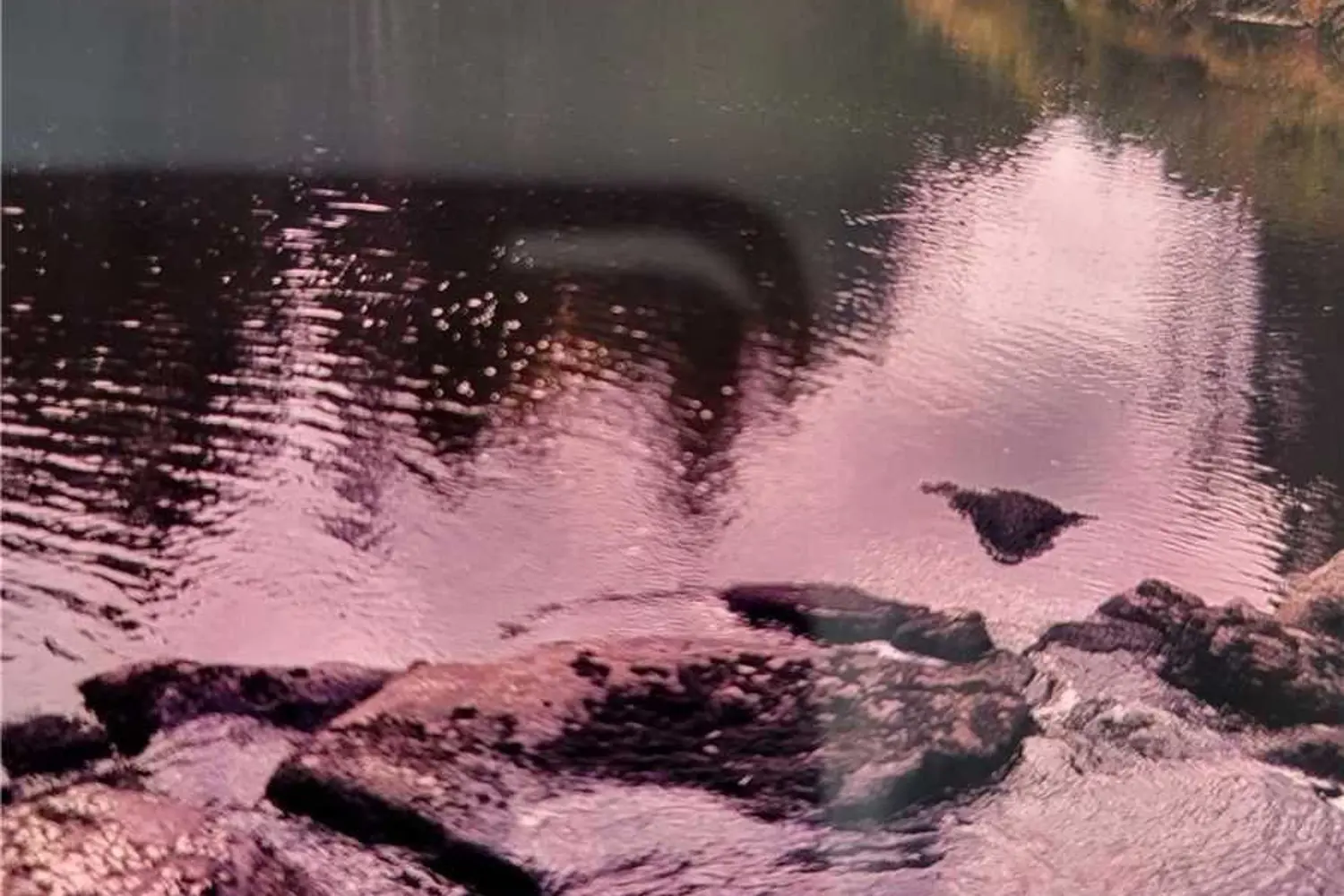 Additional image 3 of 420 Landry Road