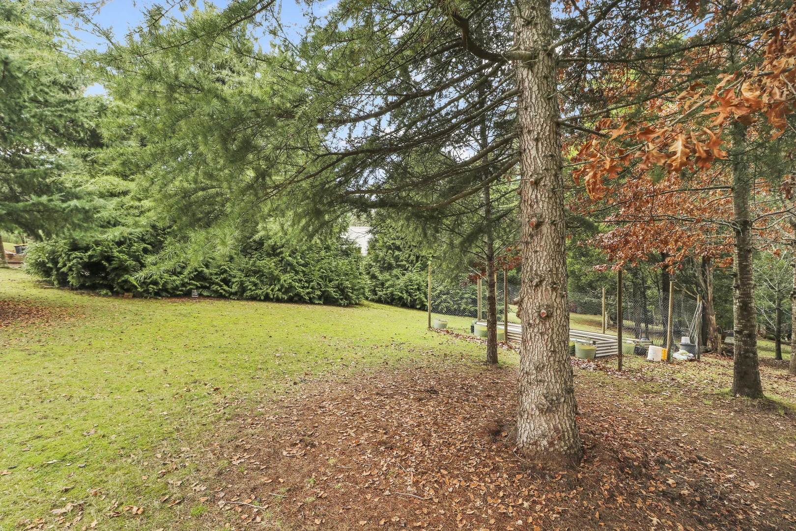 Additional image 5 of 29 Purcell Drive, Merrijig VIC 3723