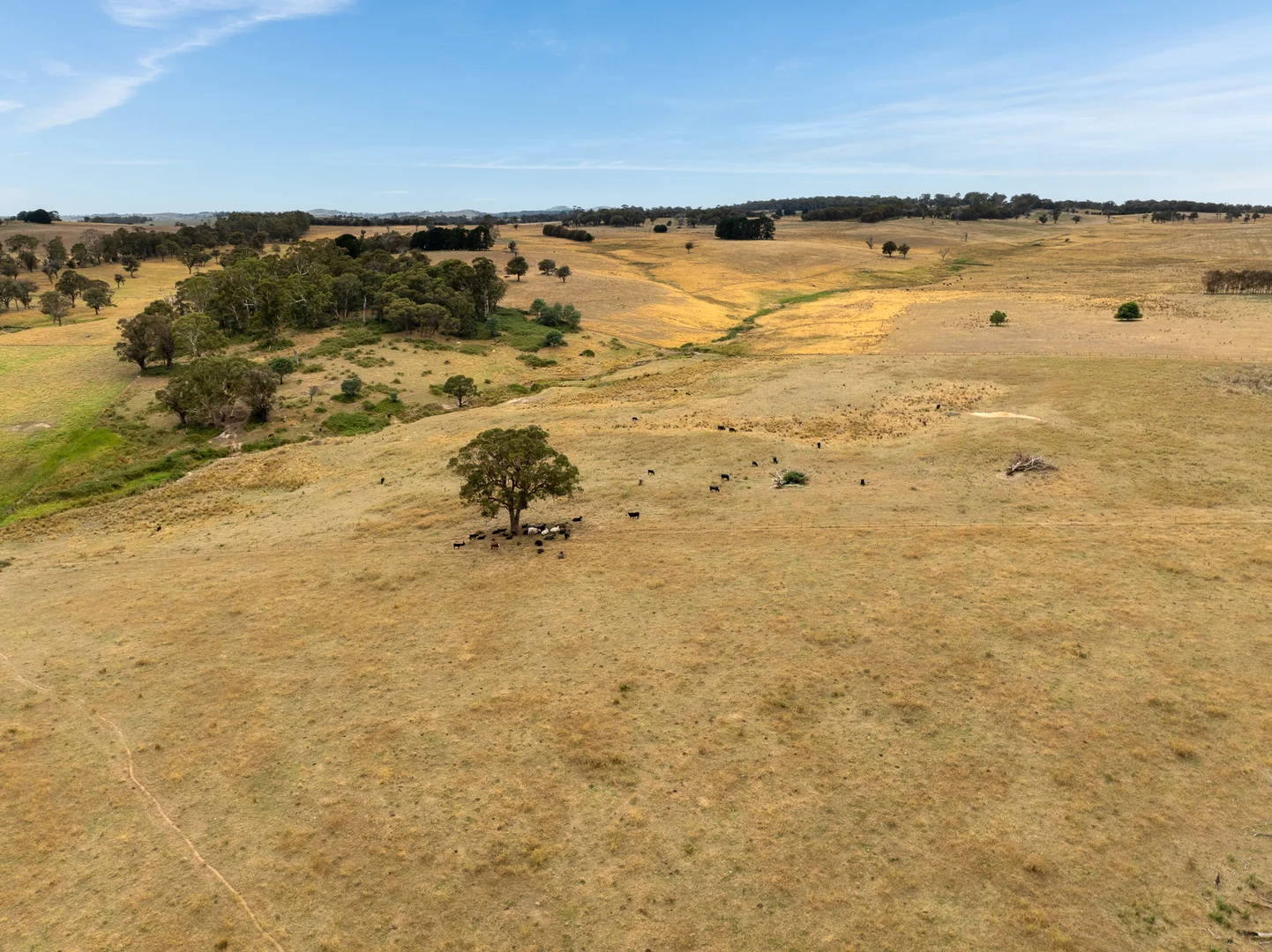 Additional image 41 of 'Top Farm' 1004 Neville-Trunkey Road, Neville NSW 2799