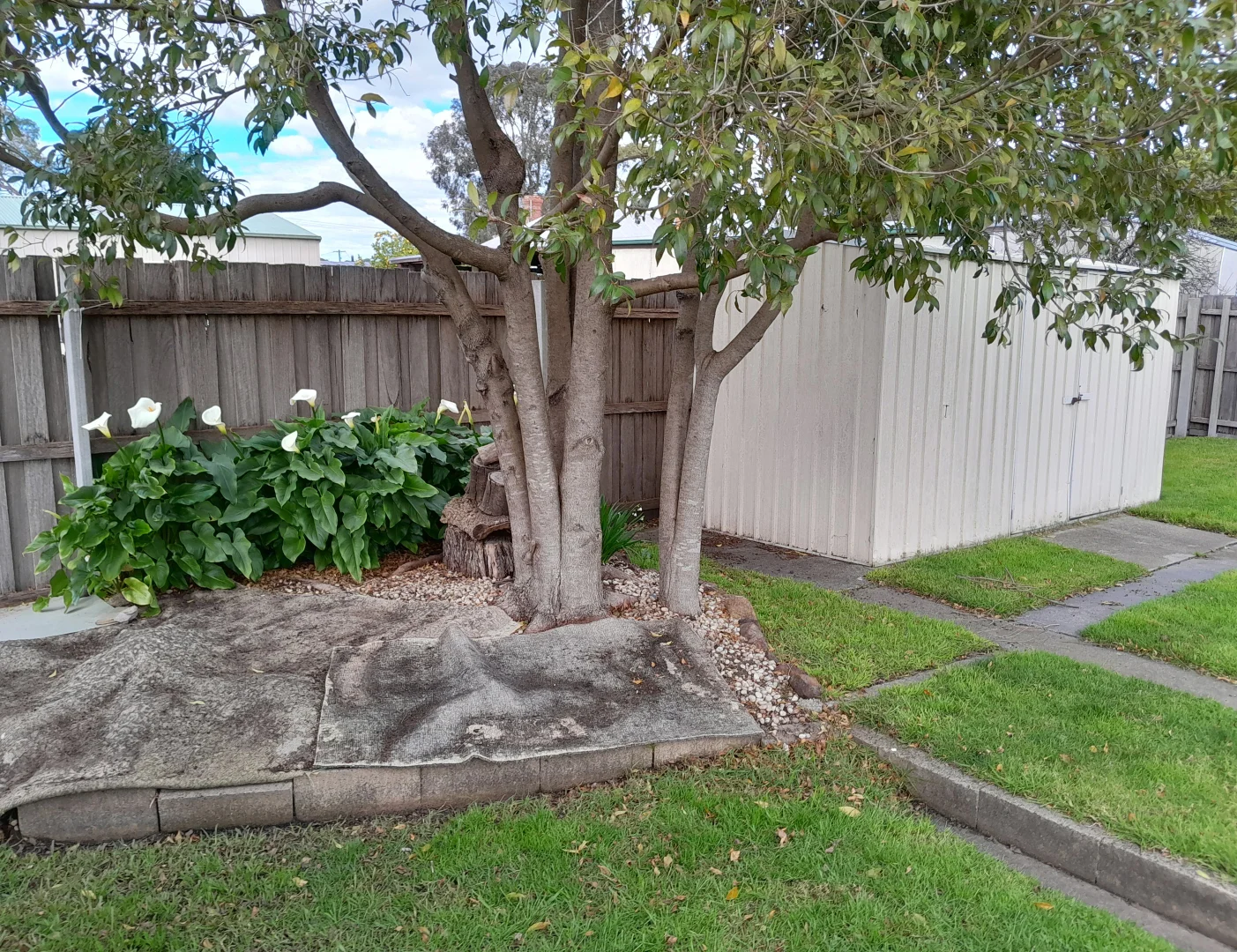 Additional image 23 of 32 Reed Street, Orbost VIC 3888