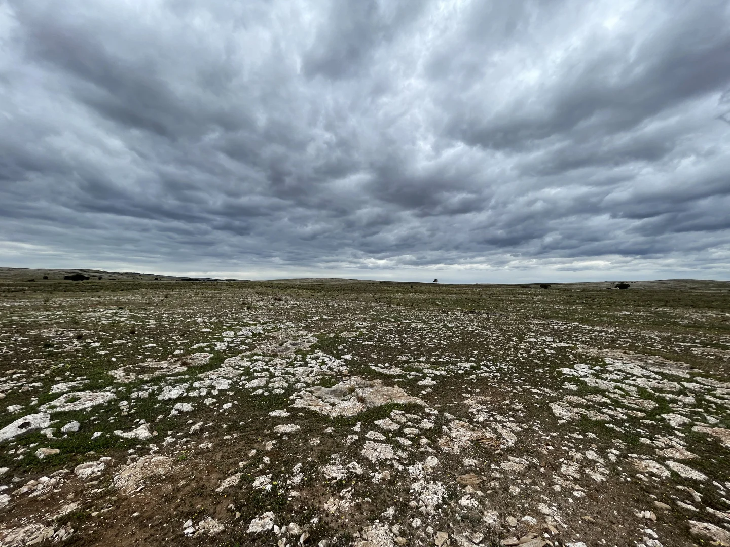 Additional image 8 of 1 Section 217, 217 & 219, Bramfield SA 5670