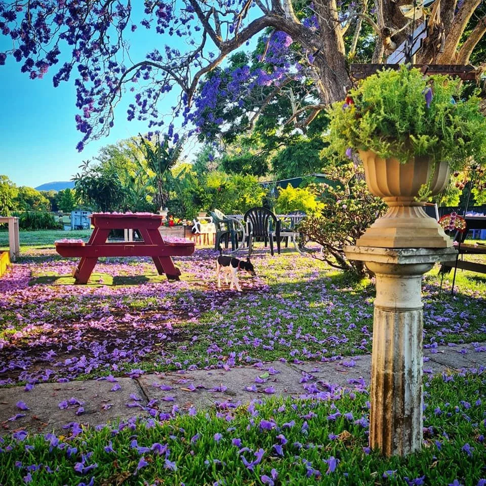 34 HANNAM VALE ROAD, Moorland NSW 2443