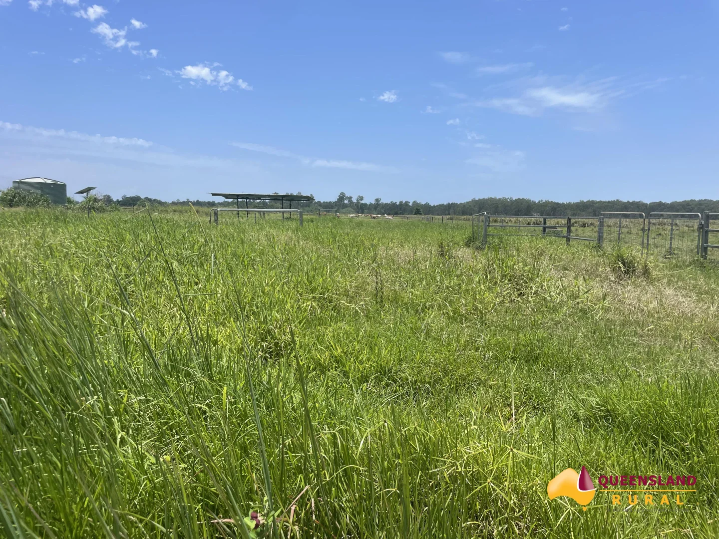 Additional image 23 of Euramo QLD 4854