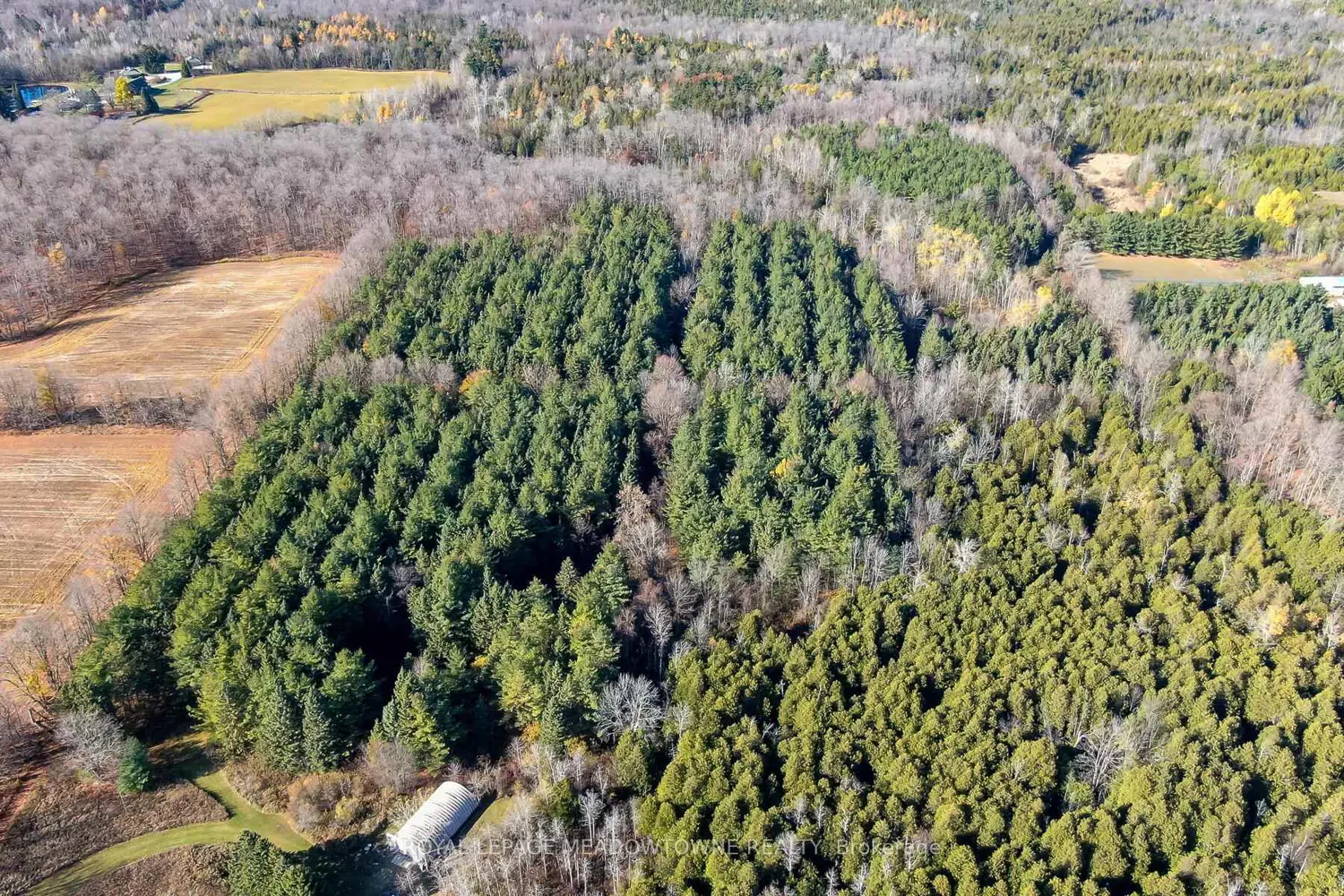 Additional image 5 of 9328 Wellington 50 Road