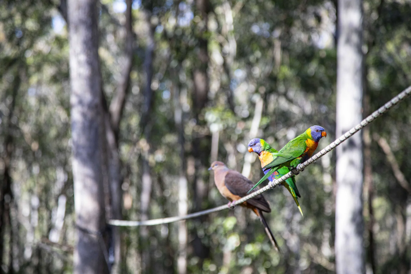 Additional image 22 of 576 Sandy Creek Road, Quorrobolong NSW 2325