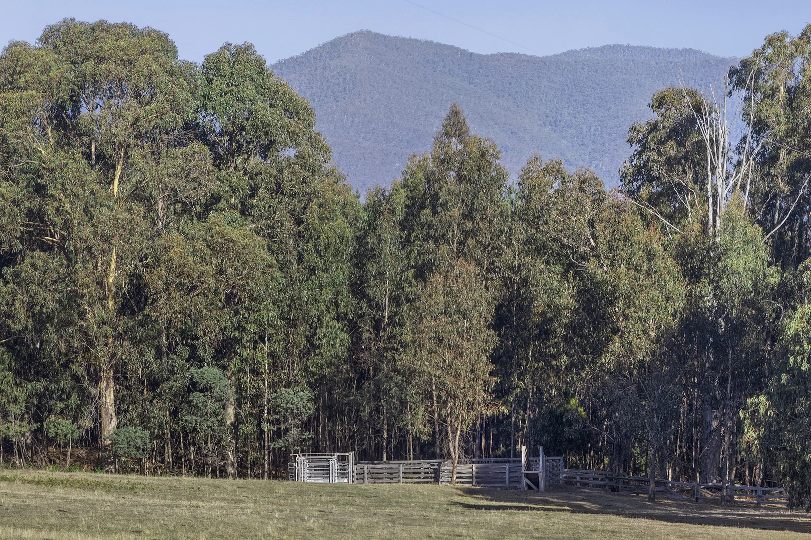 Additional image 34 of 696 Glenroy Road, Merrijig VIC 3723