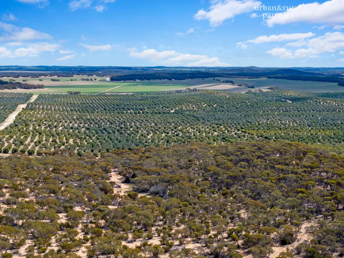 Additional image 17 of 1575 Kringin Road, Karte SA 5304
