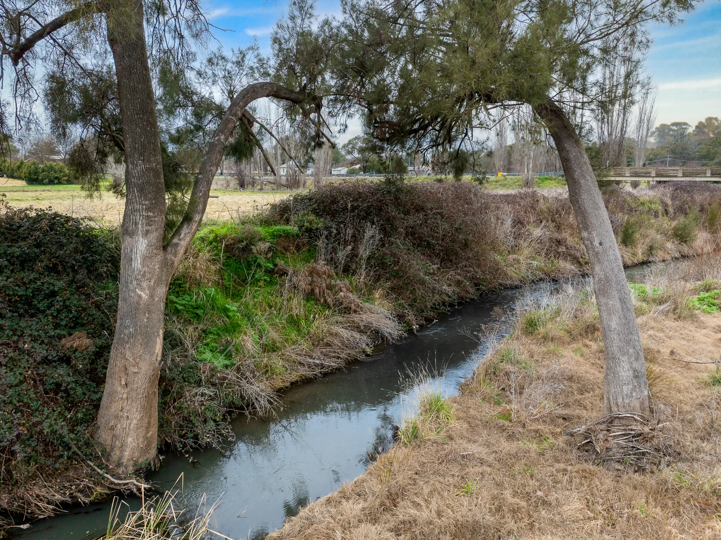 Additional image 8 of Lots 1-4, 27 Flood Street, Cudal NSW 2864