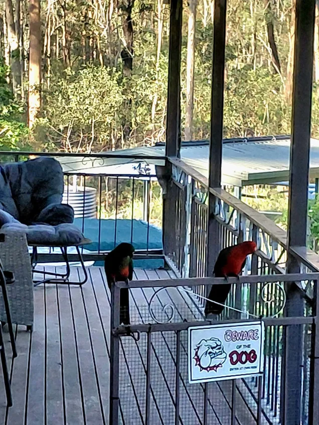 Additional image 19 of 102 Milora Road, Upper Lockyer QLD 4352